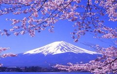 日本翻譯導(dǎo)游水平低，中文不過關(guān)